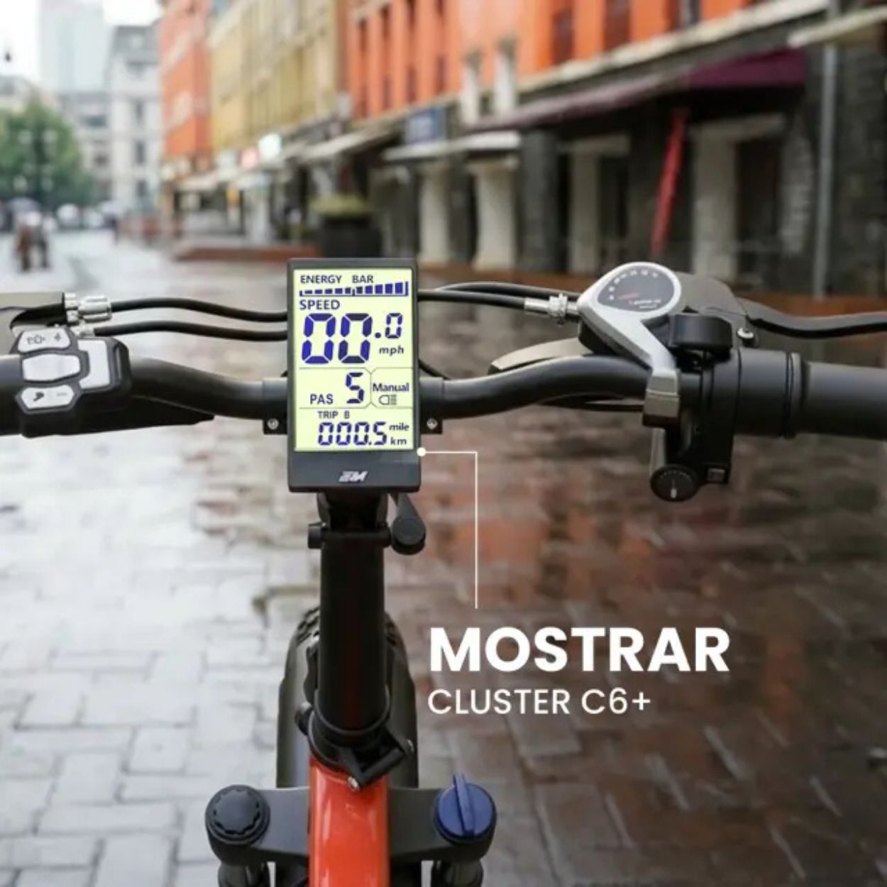 FAT BIKE PLEGABLE EMOTORAD DOODLE - Imagen 2