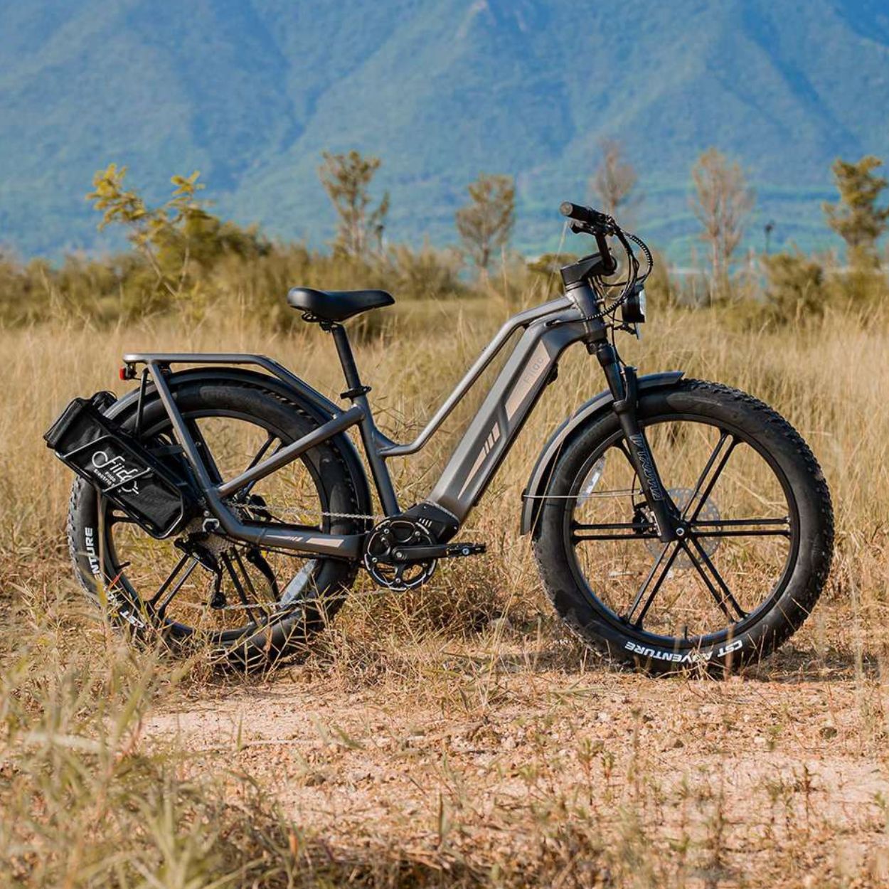 Bicicleta eléctrica Fiido TITAN 700Wh - Imagen 5