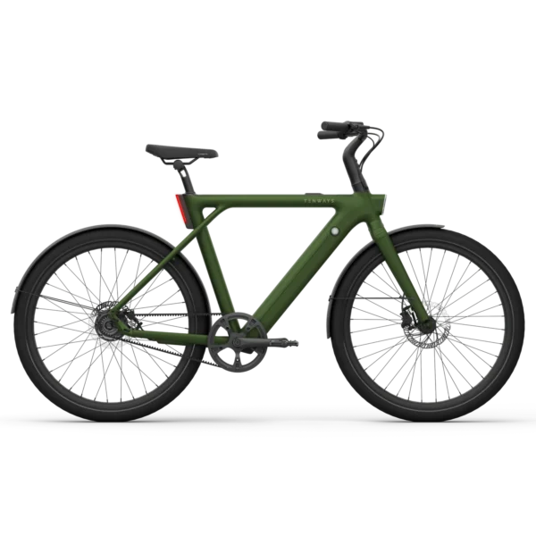 Bicicleta eléctrica TENWAYS CGO009