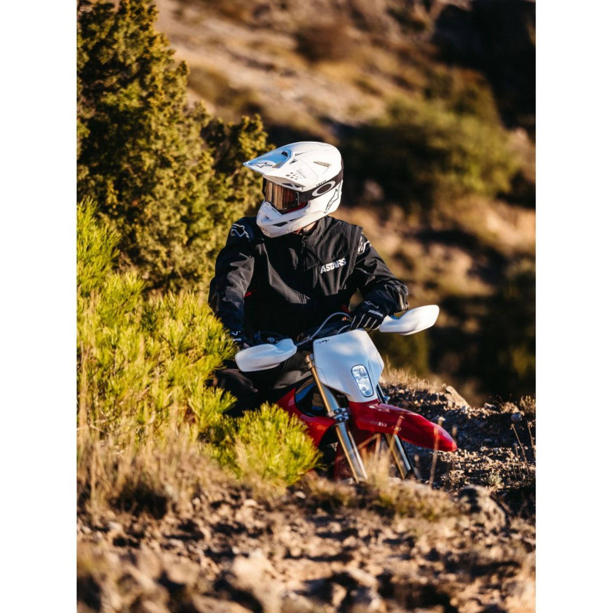 Motocicleta eléctrica STARK VARG EX 60cv - 80cv - Imagen 29