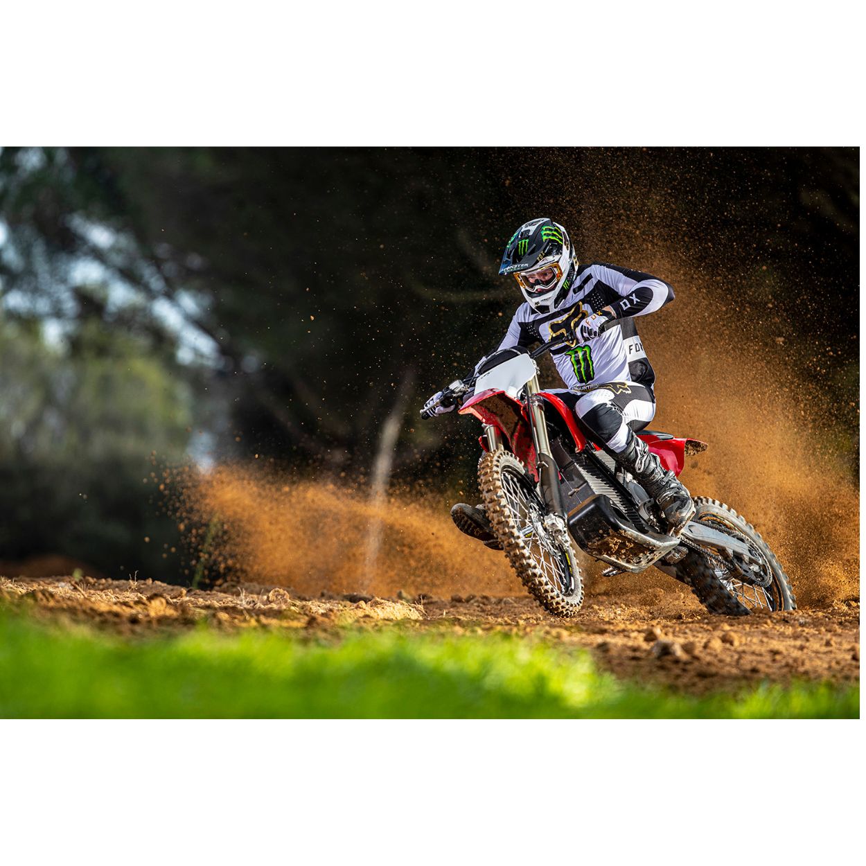 MOTOCICLETA ELECTRICA STARK VARG MX 1.2 60CV - 80CV - Imagen 14
