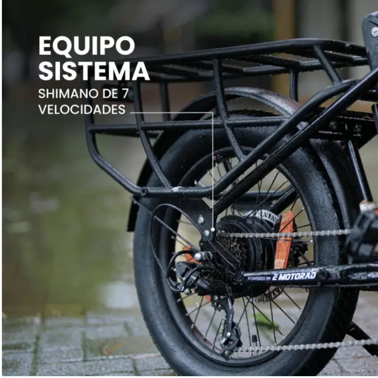 Bicicleta eléctrica EMOTORAD G1 CARGO - Imagen 3