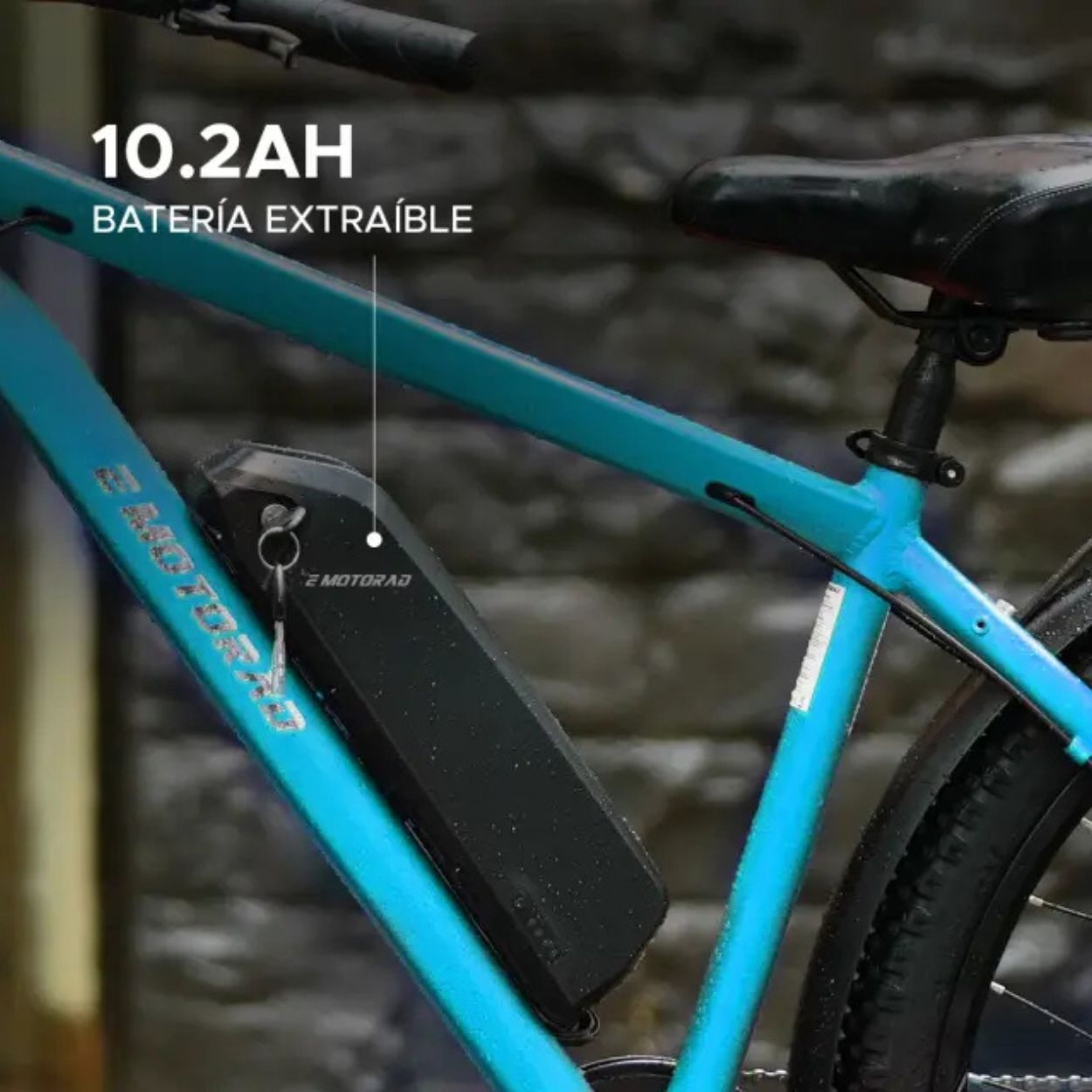Bicicleta eléctrica EMOTORAD T-REX PRO - Imagen 8