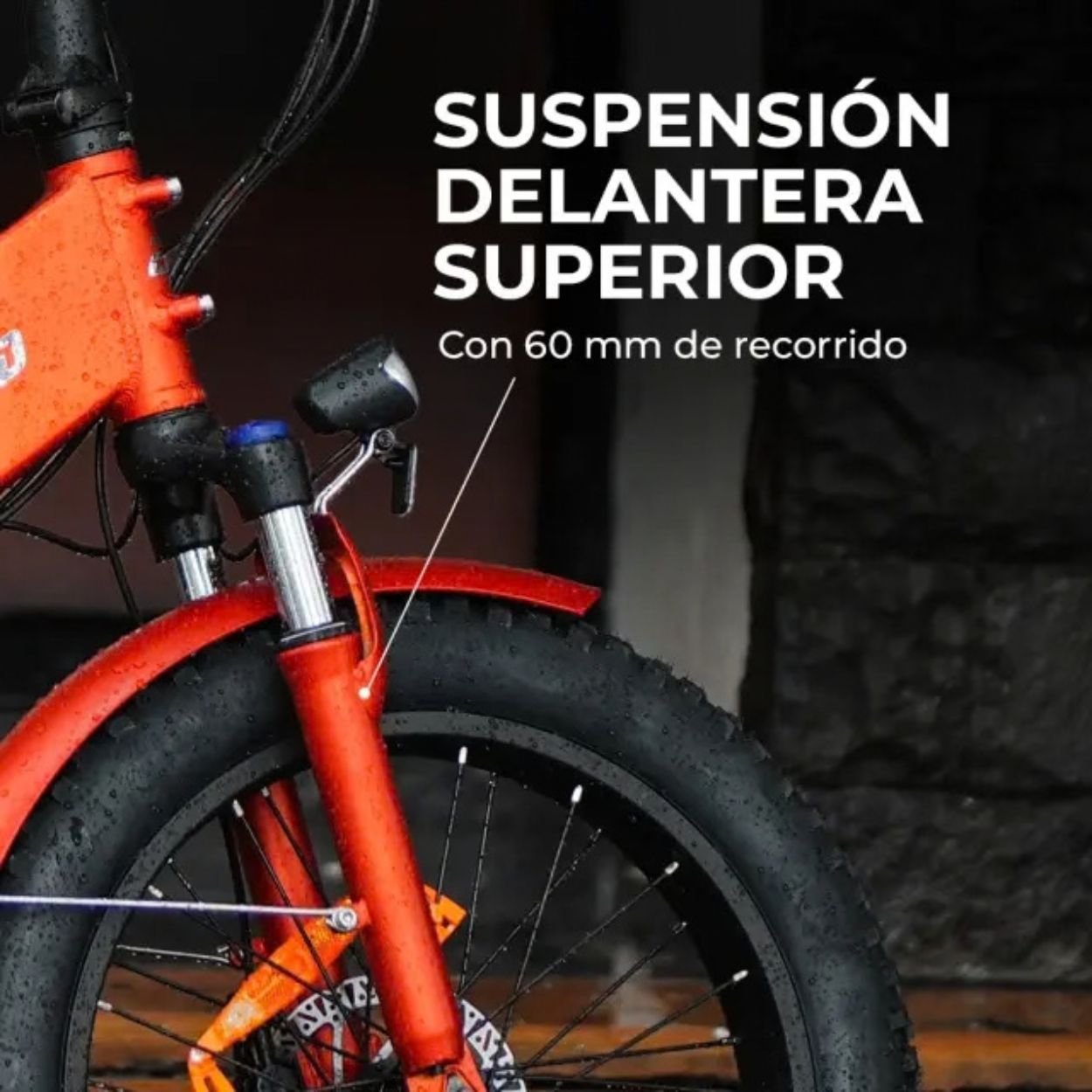 Bicicleta eléctrica EMOTORAD VELOA - Imagen 3
