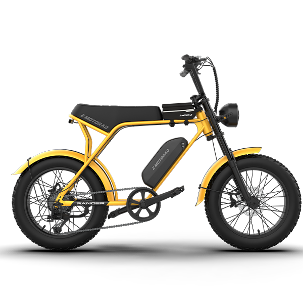 Bicicleta eléctrica EMOTORAD RANGER